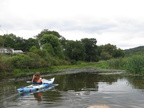 IMG 4494